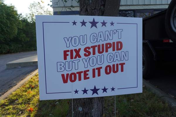 You Can't Fix Stupid But You Can Vote It Out