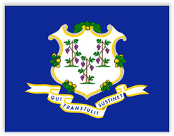 Connecticut State Metal Flag