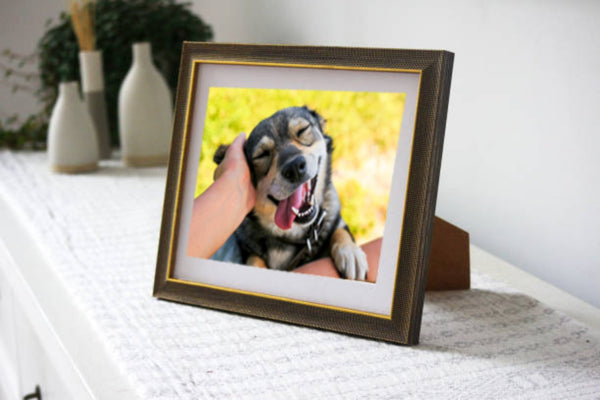 Custom Dog Portrait