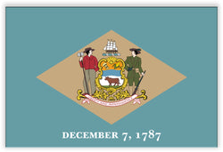 Delaware State Metal Flag