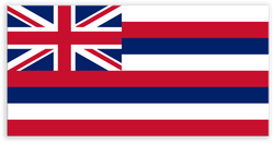 Hawaii State Metal Flag