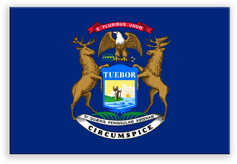 Michigan State Metal Flag