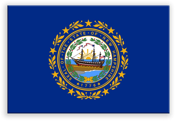 New Hampshire State Metal Flag