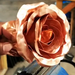 Copper Rose