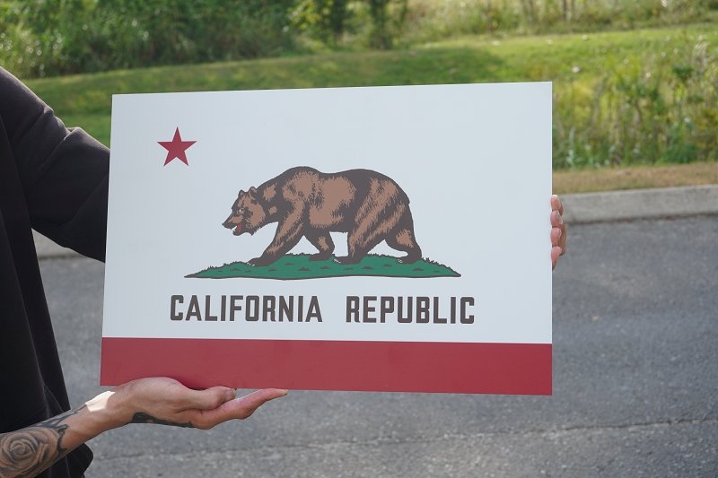 California State Metal Flag – Nashville Metal Art